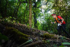 BIB: 
                            <button type="button" onclick="openModal(16010061)" class="btn btn-primary btn-sm float-right btn-popup" data-toggle="modal" data-target=".modal-high-quality">
                        <i class="fas fa-shopping-cart"></i> Add to Cart
                    </button>
                                            <button type="button" onclick="isThisMe(16010061, true)" class="btn btn-success btn-sm float-right btn-popup btn-isme hidden" data-toggle="tooltip" data-placement="bottom" title="นี่คือรูปของคุณใช่ไหม คลิกที่นี่เพื่อเอาเข้าอัลบั้ม">
                        <i class="fas fa-plus"></i> Add to album
                    </button>
                    <button type="button" onclick="isThisMe(16010061, false)" class="btn btn-warning btn-sm float-right btn-popup btn-isnotme hidden">
                        <i class="fas fa-ban"></i> Remove from album
                    </button>